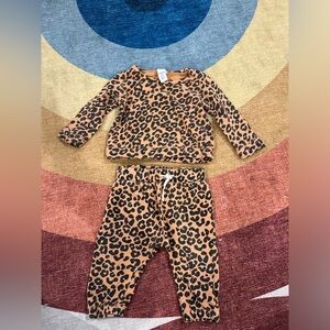 Harper canyon cheetah set